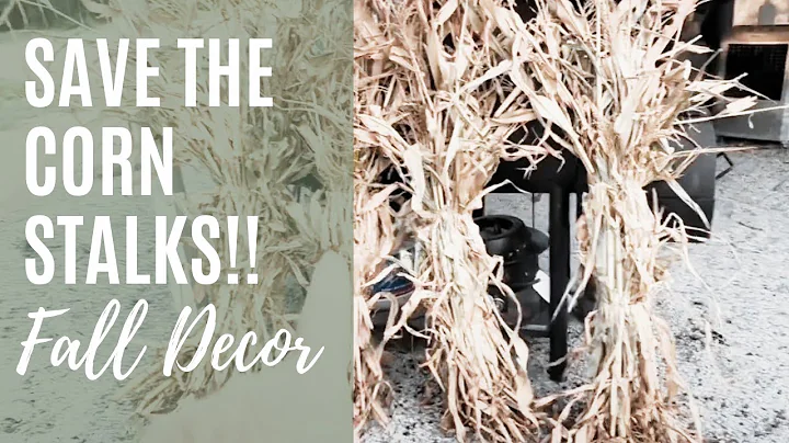 Transform Your Fall Decor with Corn Stalks from My Garden