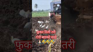       shetijunction marathidialogue villagelife farming shorts