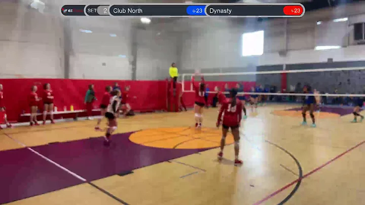 Andrea Myers Live Stream