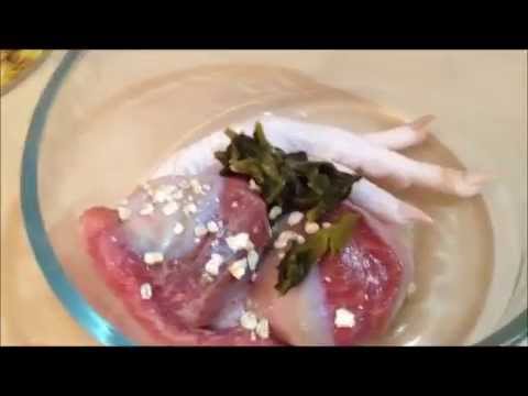 raw food for small dogs