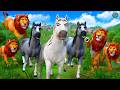 Epic animal kingdom faceoff lion pride vs horse herd battle  who will reign supreme animal fight