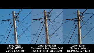 Sony A7Siii Vs Canon Eos-M Magic Lantern Crop Mood And 5Diii