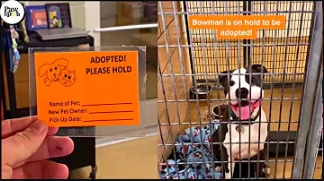 How much do adoptive parents get paid in California?