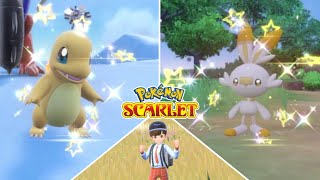 I Shiny Hunted MORE Starters in Pokemon Scarlet/Violet