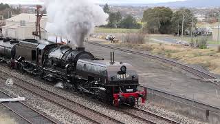 Australia's Largest Steam Locomotive in Bathurst  BeyerGarratt '6029'