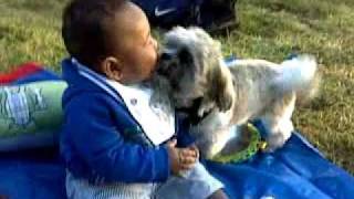 Baby & Dog Making Out