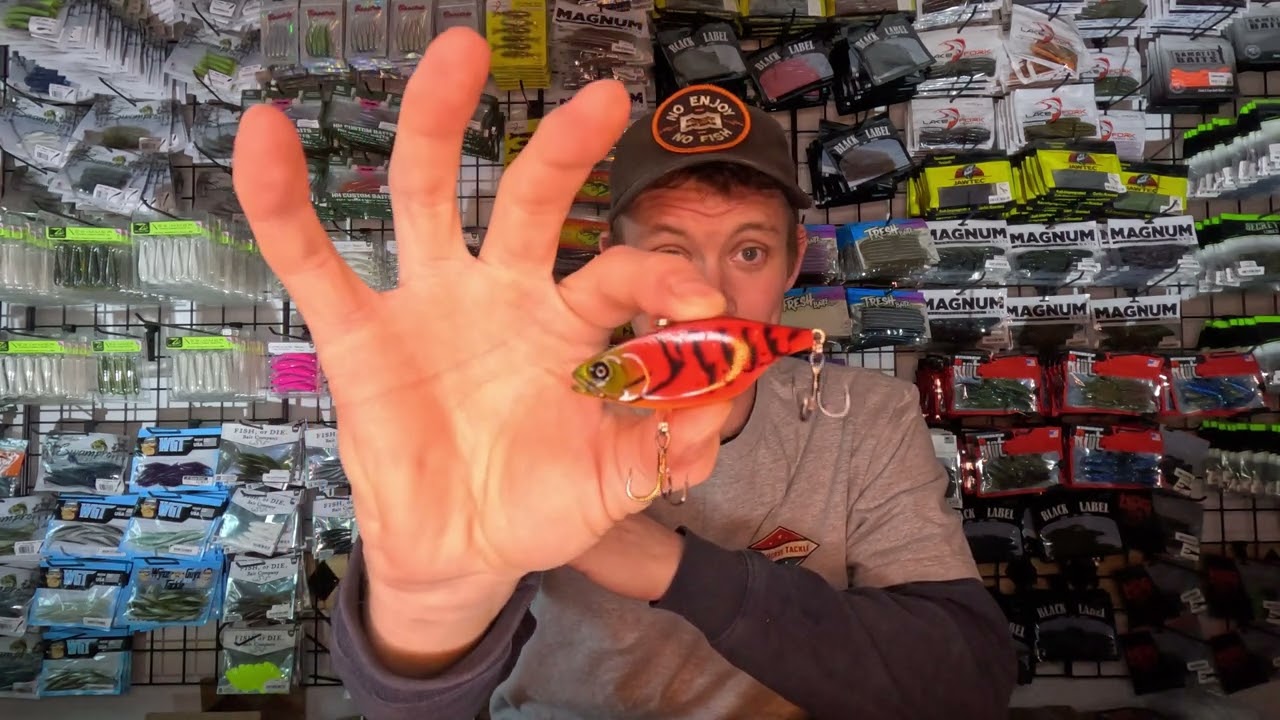 Dark Horse Tackle Baits for ❄️February❄️ Bass Fishing