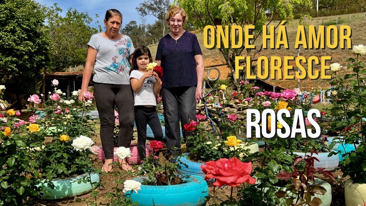 O MAR DE ROSAS DA COMADRE NIL - A PUREZA DE UMA CRIANÇA - FORMA MAIS DOCE DE SABEDORIA 