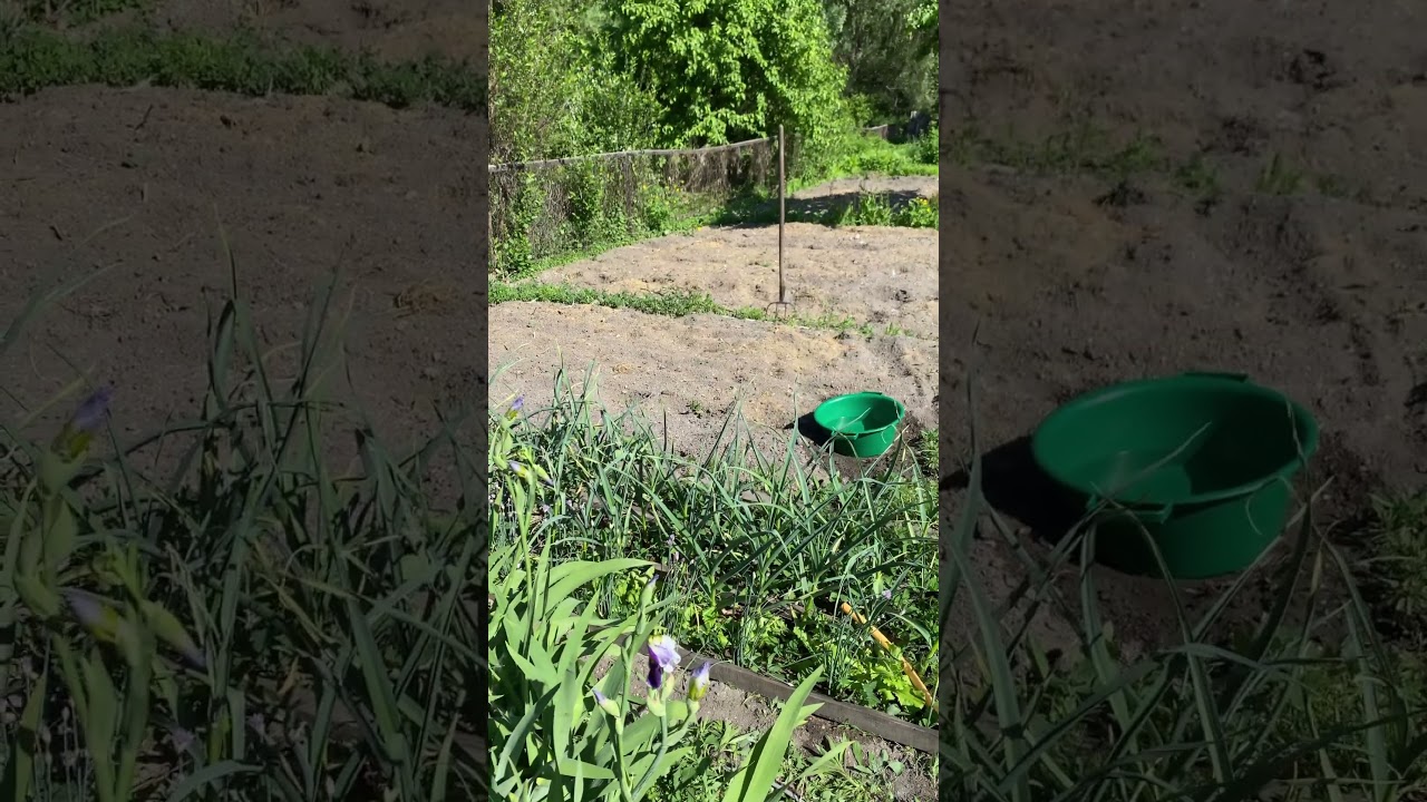 У нас появились неизвестные жуки 🐞 