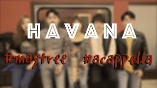 Havana acappella (Camila Cabello cover) by Maytree.