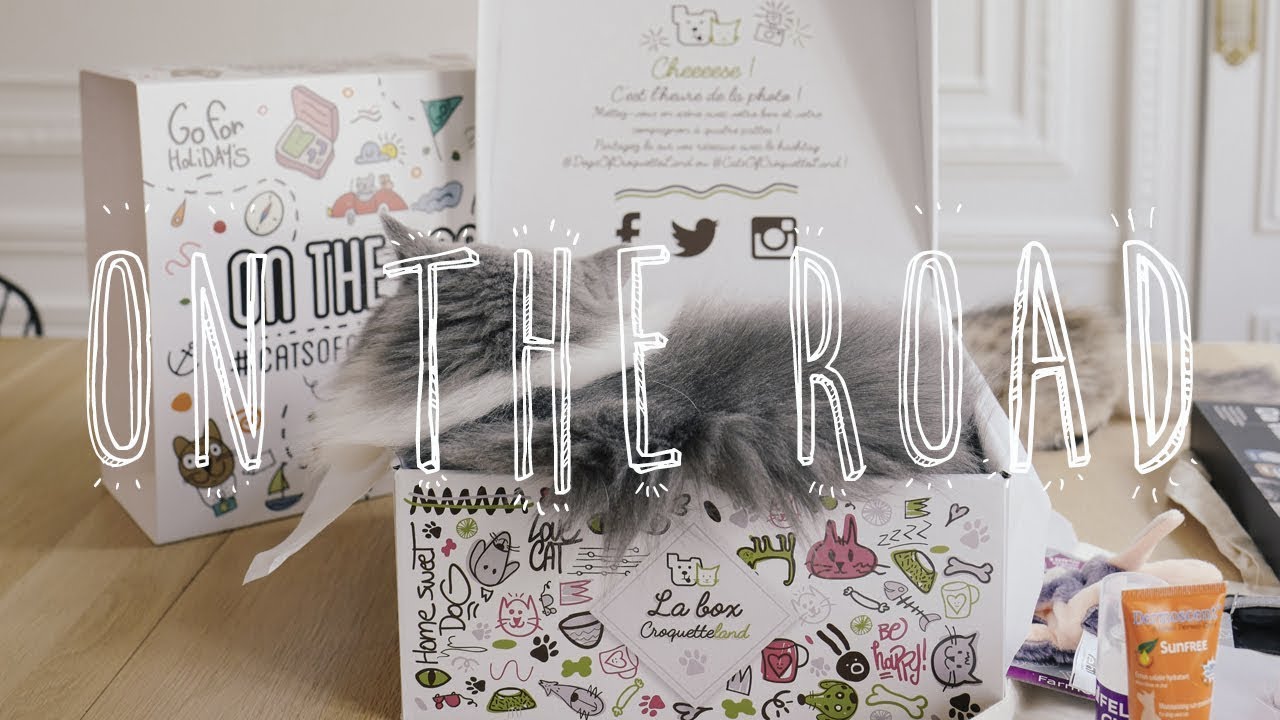 chatone UNBOXING - BOX ON THE ROAD de Croquetteland pour nos chats / Spécial vacances avec ses animaux