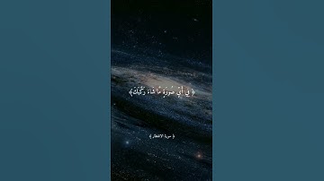 يَا أَيُّهَا الْإِنسَانُ مَا غَرَّكَ بِرَبِّكَ الْكَرِيمِ♡| تلاوة خاشعة بصوت #ماهر_المعيقلي #صدقة