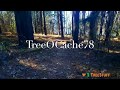 Treeocache78 by shannon derouen   treestuffcom