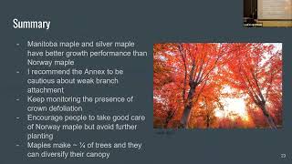 2022 MFC Capstone Presentation: Lucy Wang