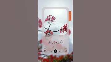 سورة الذاريات... وتذكير بقوله تعالى: إنما توعدون لصادق🕊#سورة_الذاريات #قرآن #شورتس #ورتلناه #Quran