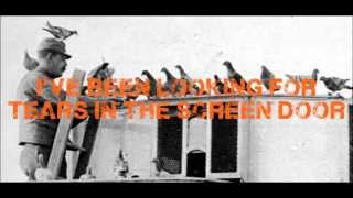 Passing Through A Screen Door - The Wonder Years (w/lyrics)