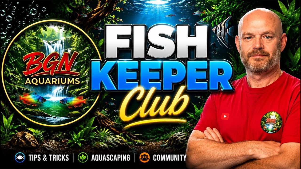 BGN Aquariums Fish Keeper Club Livestream
