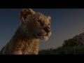 The lion king  official trailer  tamil  in cinemas july 19