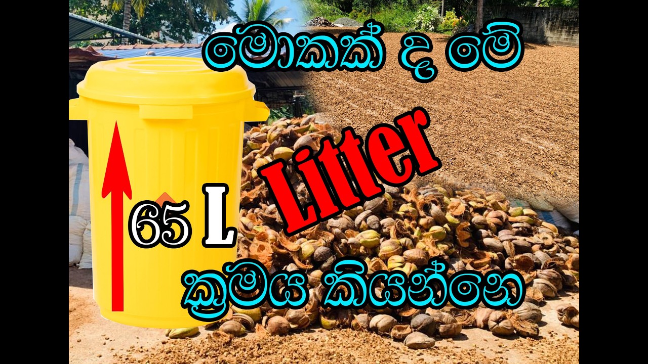 පොල්ලෙලි කැබලි ලීටර් ක්‍රමයට දෙමු#ideas #businessadvice #business #husk chip #businessinspiration