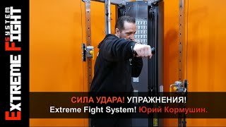 СИЛА УДАРА! Упражнения! Extreme Fight System! Юрий Кормушин