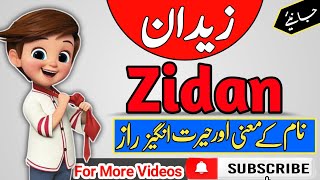 Zidan name meaning in urdu & English with lucky number