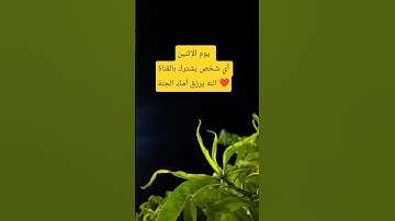 #تلاوة_خاشعة #تلاوة_هادئة #إسلام_صبحي #اسلام_صبحي #قرآن_كريم #سورة_المؤمنون #اكسبلور