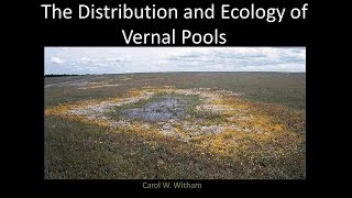 The Distribution and Ecology of Vernal Pools