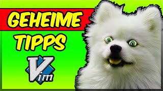 Vim Tutorial In 9 Min