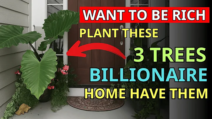 Billionaires Always Plant These 3 Lucky Trees in Front of Their Houses – Have You Fengshui, Buddhism
