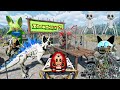 Zoonomaly 2 Official Teaser Full Game - Save the Gorilla Monster Boss: Titan Cat, Crocodile, Rabbit