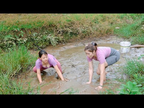 Girl Fishing Traditional - How to catch fish with bamboo and net - Tips for catching big fish