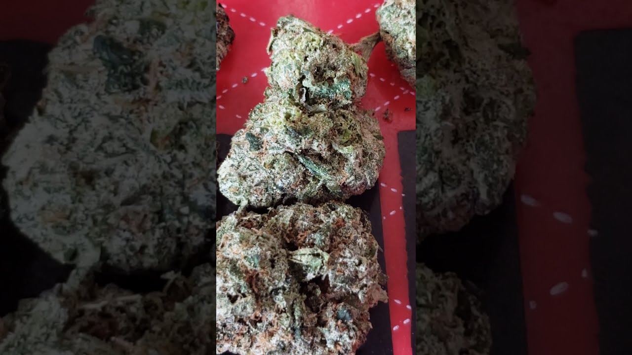 What is you Smoking? (Runtz)  Weed Strain  Fire 🔥  or naw 🤔