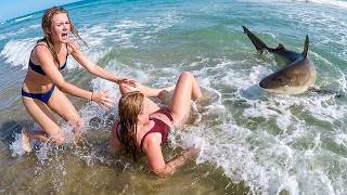 The Most Incredible Shark Encounters Ever Captured on Camera