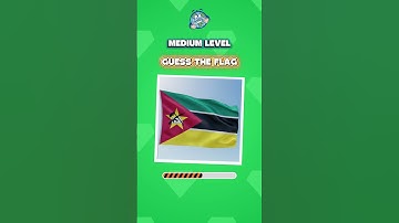 Only 1% of People Can Guess These flags! #geography #shortvideo #quiztime #flagquiz #challenge