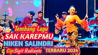 Cdanursari Mayangkaraniken Salindrisak Karepmu Terbaru 2024