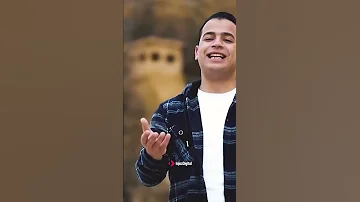 لو عاليه احلامك طولها عمر أحمد اكسبلور 