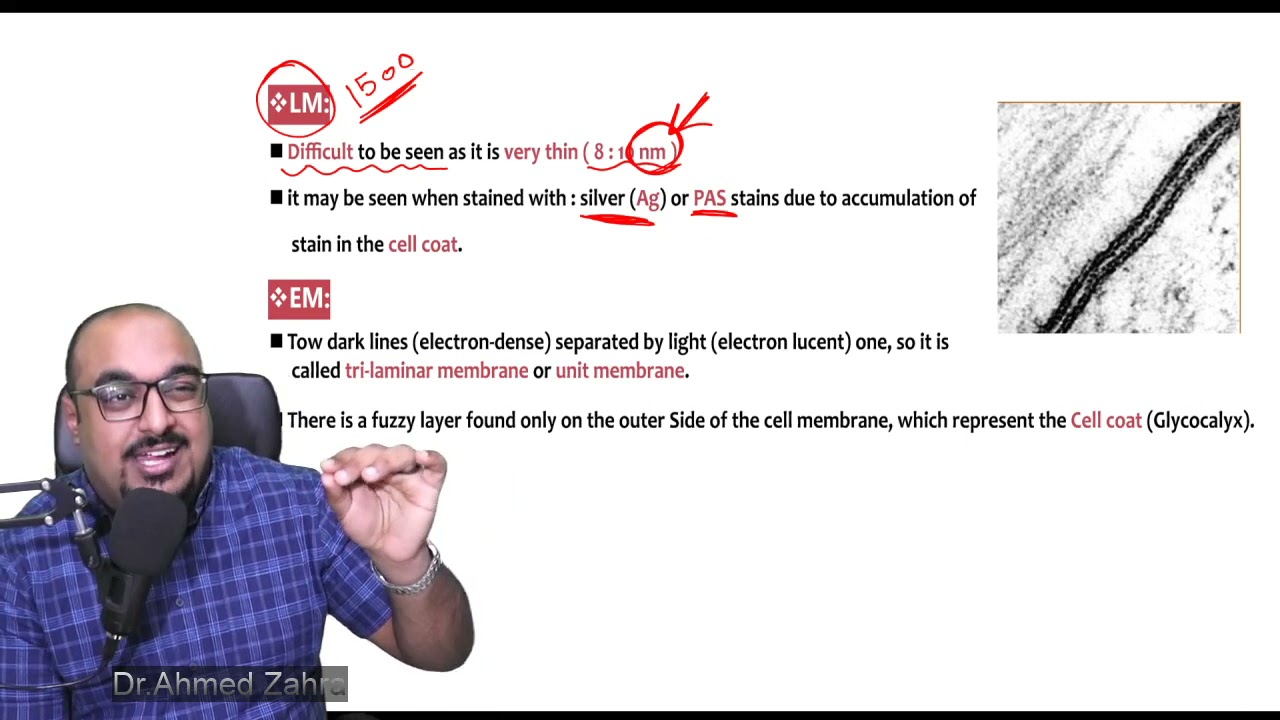 Histology Dr.Ahmed Zahra   cell membrane 1