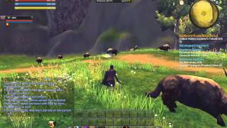 Bots on Raiderz