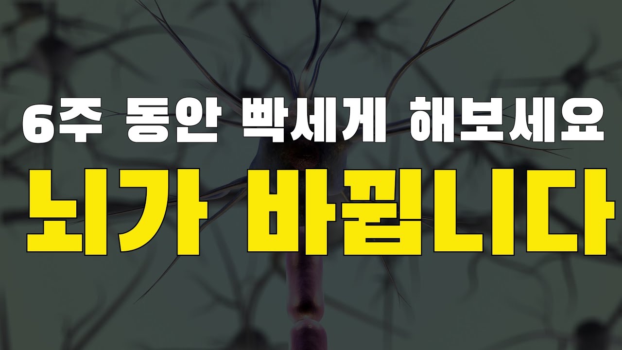 6주 동안 빡세게 하면 뇌가 바뀝니다. 그리고 추가로 이것도 바뀔 수 있습니다. (영상 말미에 정답이 나옵니다.)