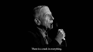 magdelaine - there is a crack in everything (Leonard Cohen, U2, Alain Souchon, Michel Berger...)