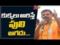 MLA Raja Singh controversial comments on TRS & MIM