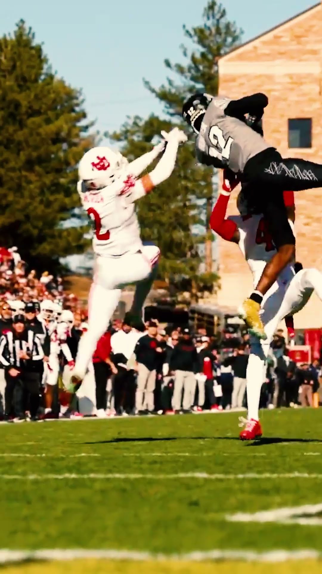 Travis Hunter or Ashton Jeanty for Heisman? ? #heimsan #cfb #football #travishunter #ashtonjeanty