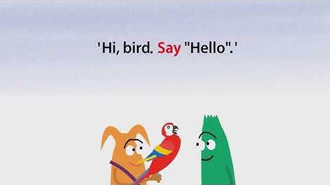 Grammar Animation reported questions, requests and commands