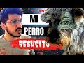 Mi Perro RESUCITÓ (Historia Real con Evidencias) || JUAN 11:25