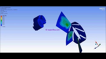 ANSYS WB Explicit Dynamics FEA - Simulation of an airplane fan impacting a bird