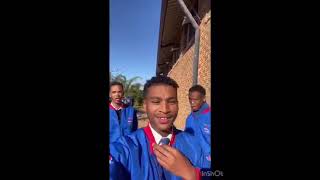 Vol Hond Binne Short Video