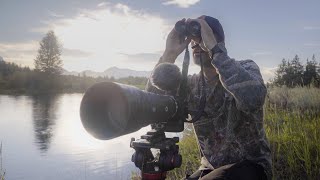 I'm In the Tetons - Wildlife Photography - Sony a7RV + Sony 200-600