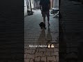 Bard will walk 🤞🏻
