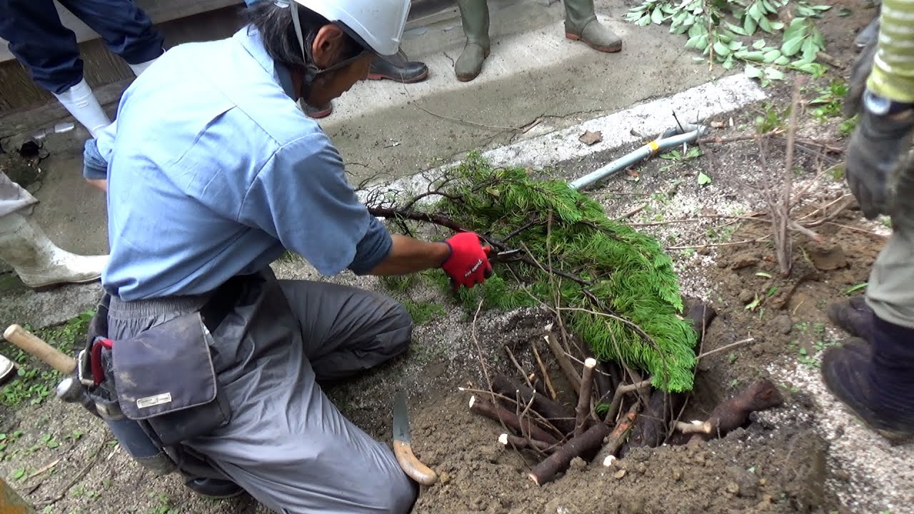 矢野智徳　大地の再生の手法❺点穴（植物と雨風に倣って）