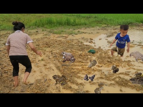 Today, mother and son went to the fields to pick vegetables and saw ...